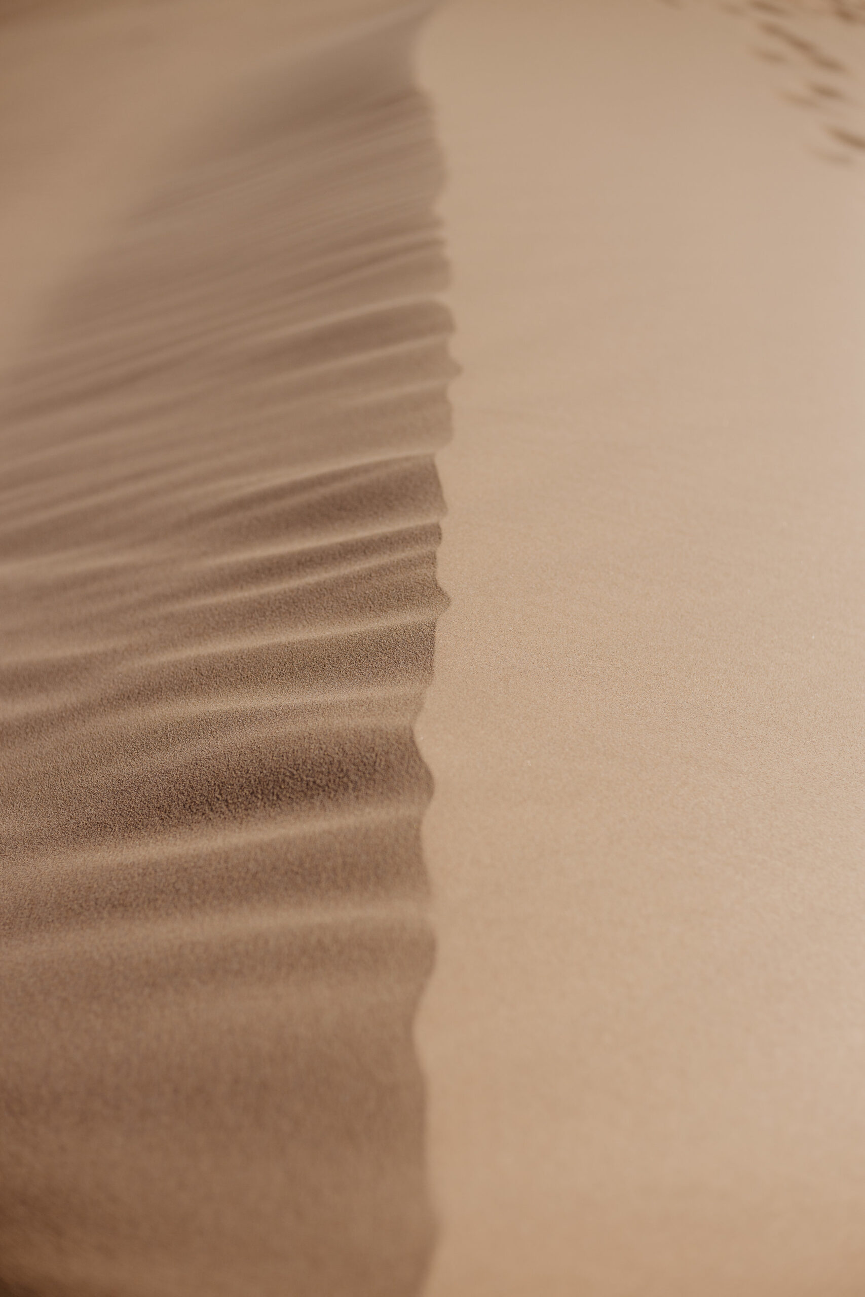 Aaron + Tessera Glamis Sand Dunes-12.jpg