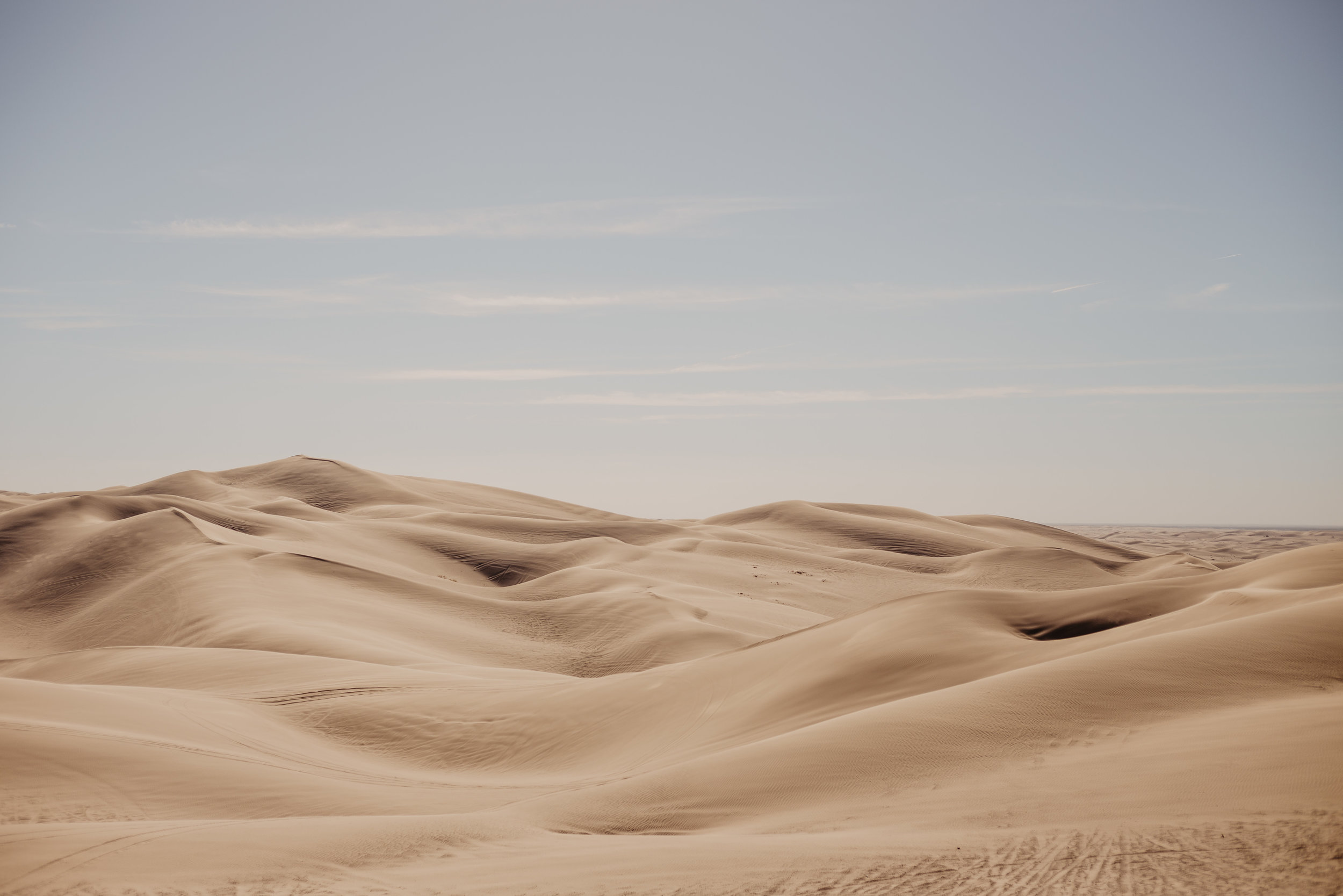 Aaron + Tessera Glamis Sand Dunes-22.jpg