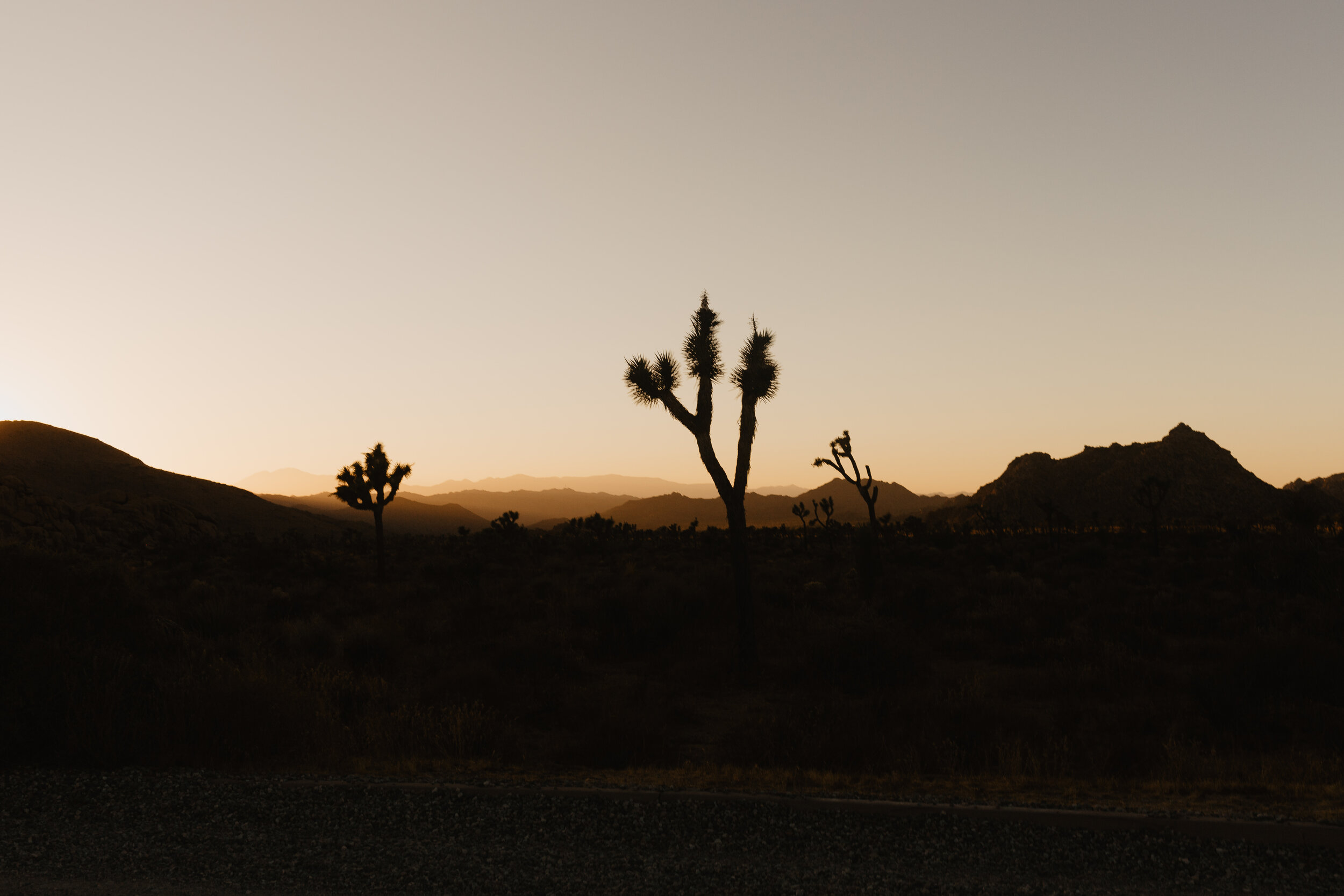 Aimee + Ryan Joshua Tree-111.jpg