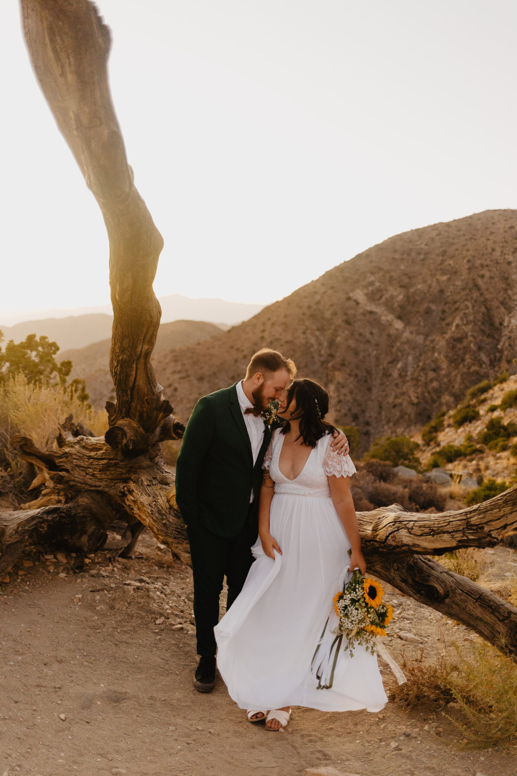 Aimee + Ryan Joshua Tree-146.jpg