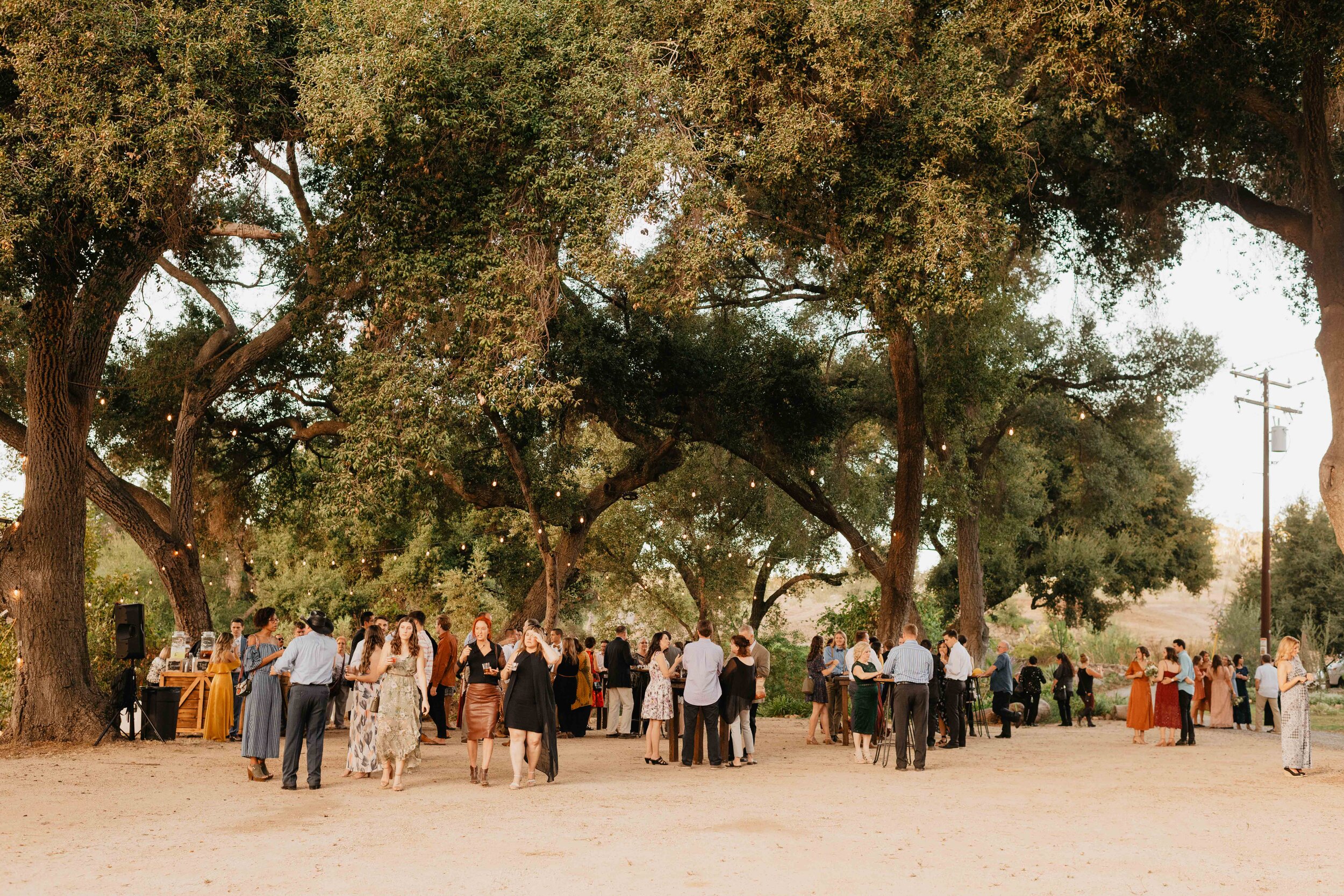 Brooke + Reed Pitchouline fallbrook barn photographer - FOR BLOG--116.jpg