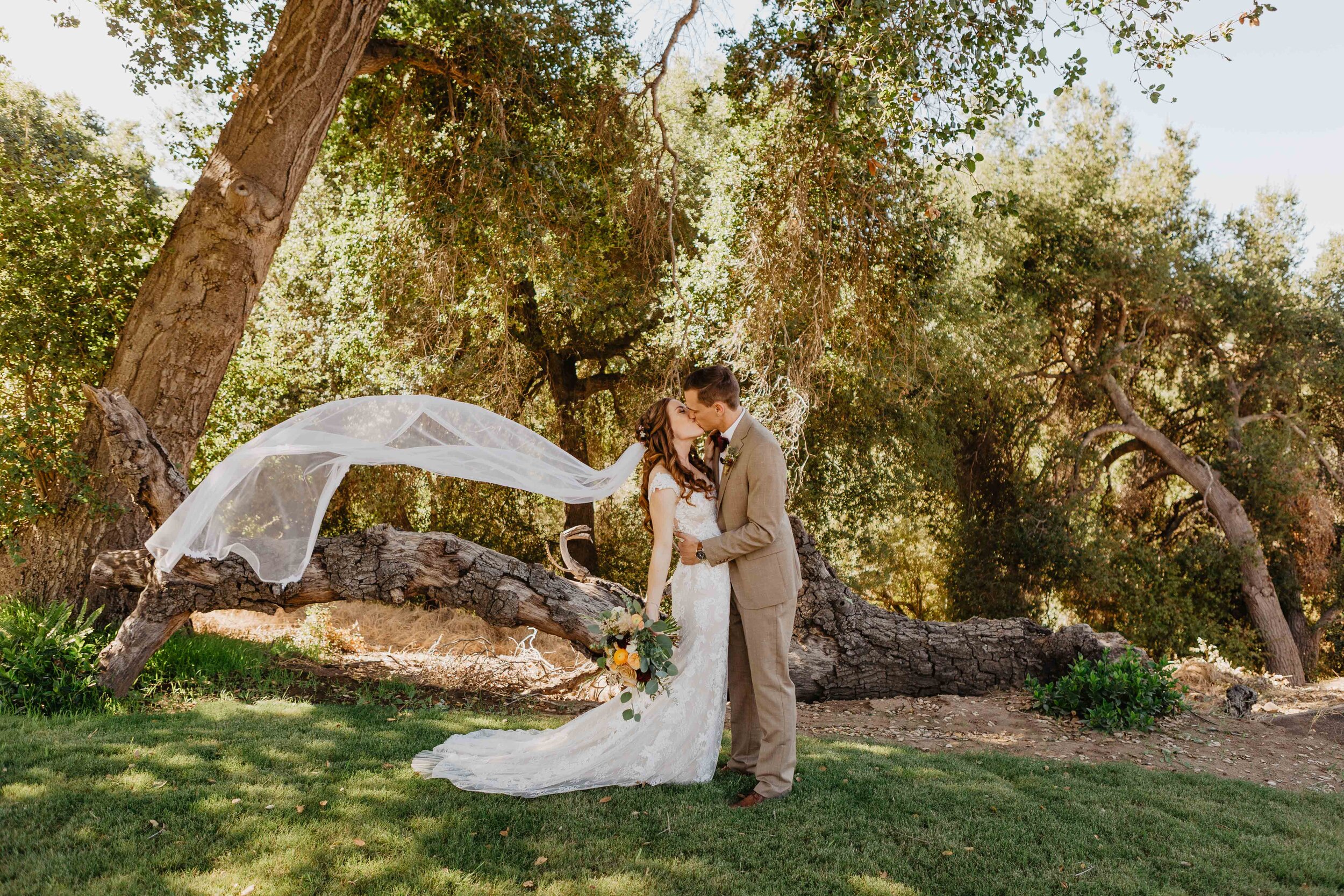 Brooke + Reed Pitchouline fallbrook barn photographer - FOR BLOG--57.jpg