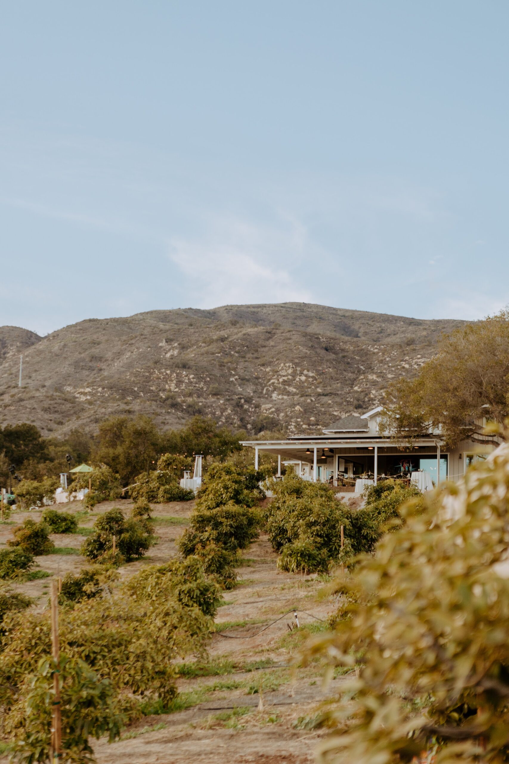 Taylor + Robert's Wedding, Carpinteria - Santa Barbara Wedding Photographer-407.jpg