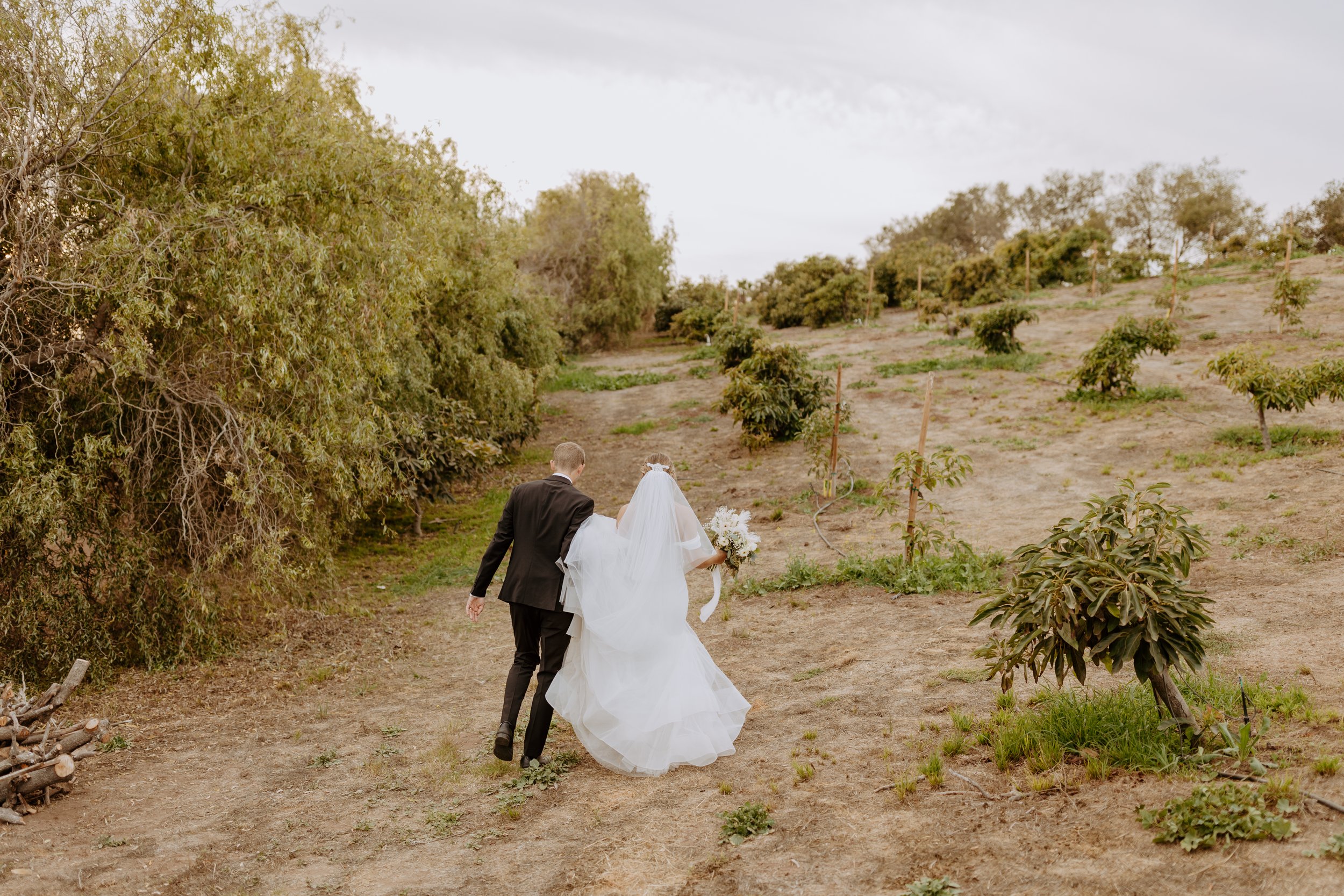 Taylor + Robert's Wedding, Carpinteria - Santa Barbara Wedding Photographer-553.jpg